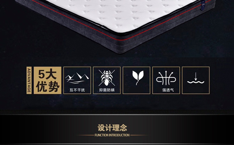 花季APP下载安装床垫Q101-_02.jpg